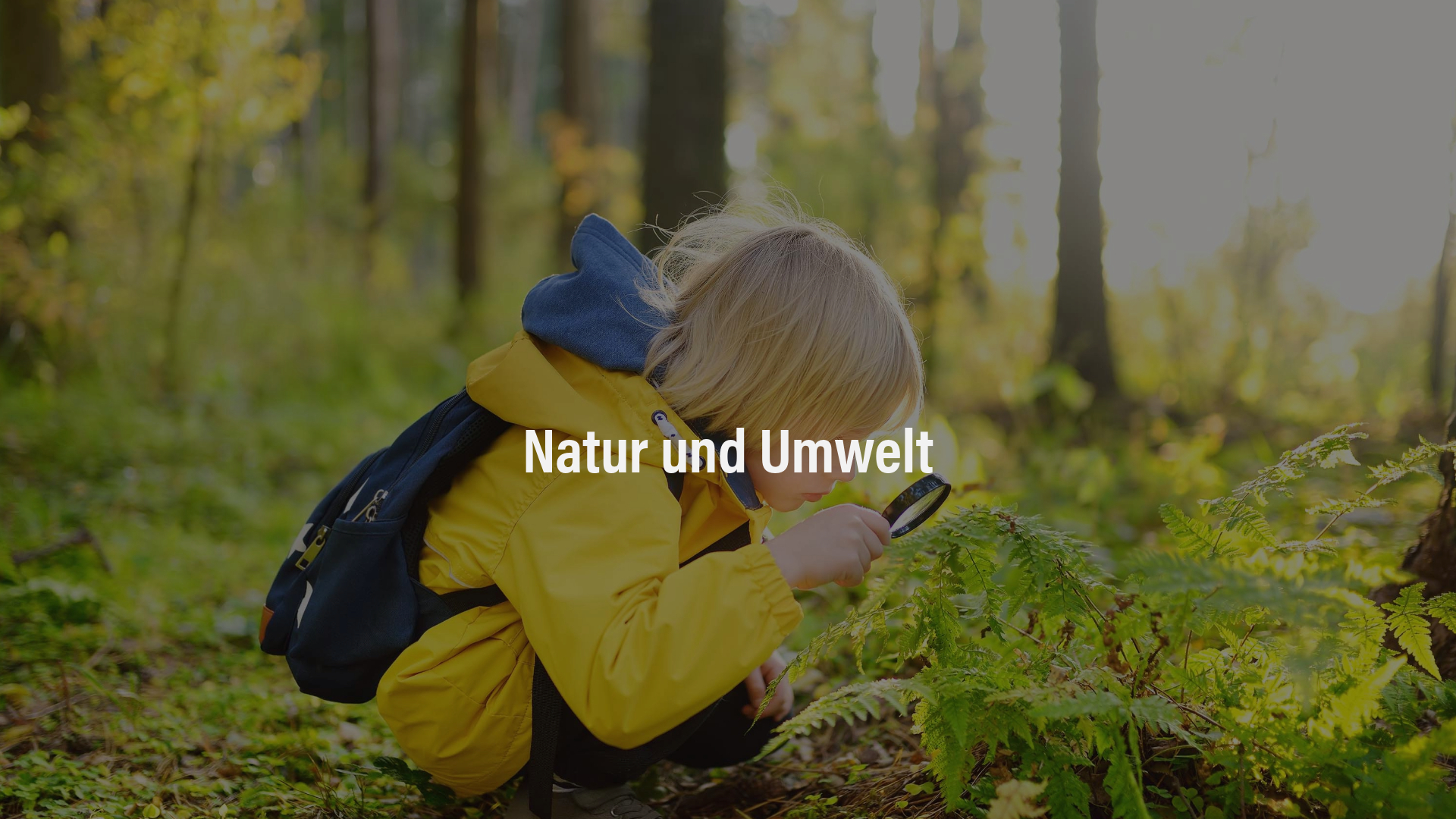 Natur und Umwelt Ein Kind mit gelber Jacke und Rucksack kniet im Wald und betrachtet einen Farn mit einer Lupe.