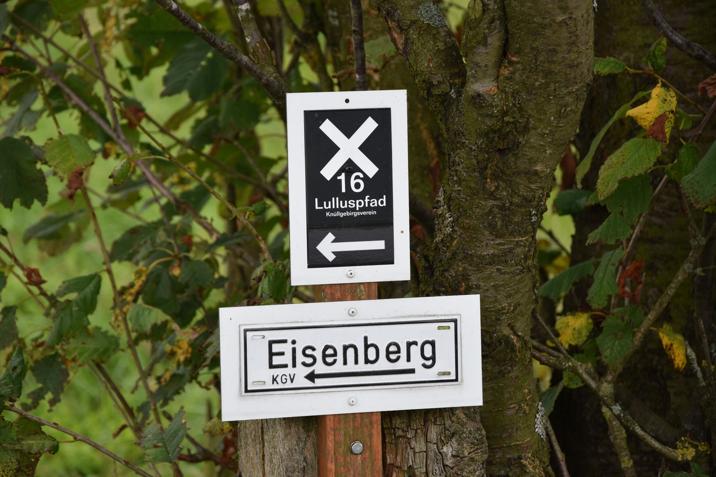 Zwei weiße Schilder an einem Holzpfeiler an einem Baum mit den Aufschriften: Eisenberg mit einem Pfeil, der nach links zeigt. Auf dem anderen Schild weiße Schrift auf schwarzem Hintergrund: "16 - Lulluspfad - Knüllgebirgsverein" mit einem linken Pfeil. Im Hintergrund Blätter von einem Baum.