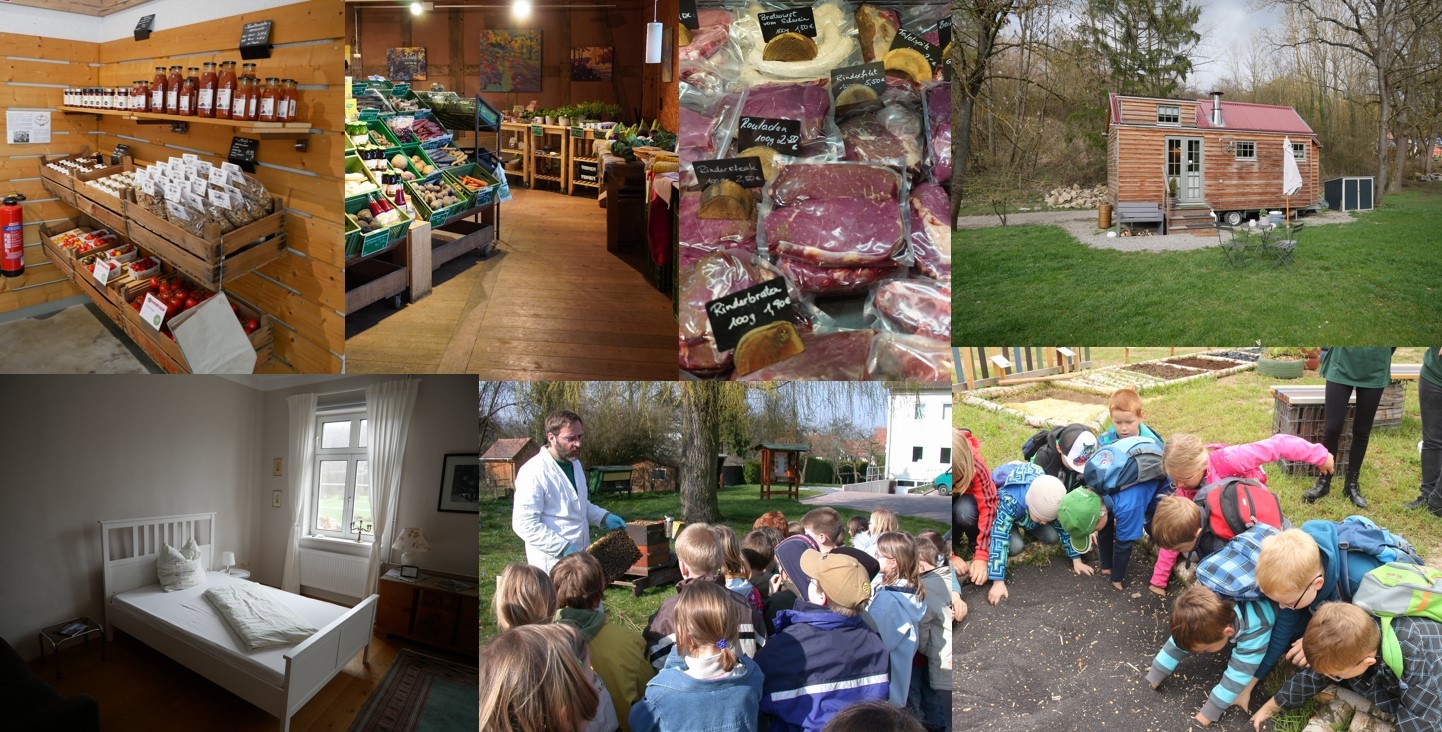 Eine Collage von verschiedenen Bildern, u.a. zu sehen sind Kinder die etwas von einem Imker erklärt bekommen, ein kleiner Laden mit frischen Produkten