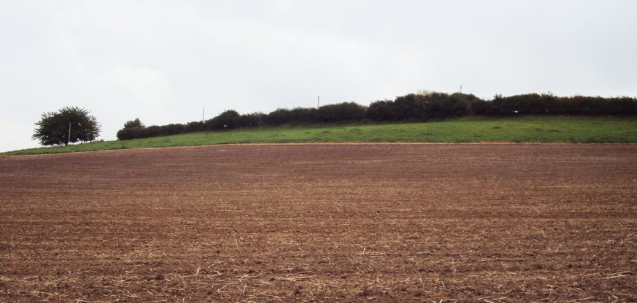 Horizontal liegt im Vordergrund ein braunes Feld. Direkt dahinter sieht man den Ansatz einer grünen Wiese und einen kleinen dunklen Wald. 