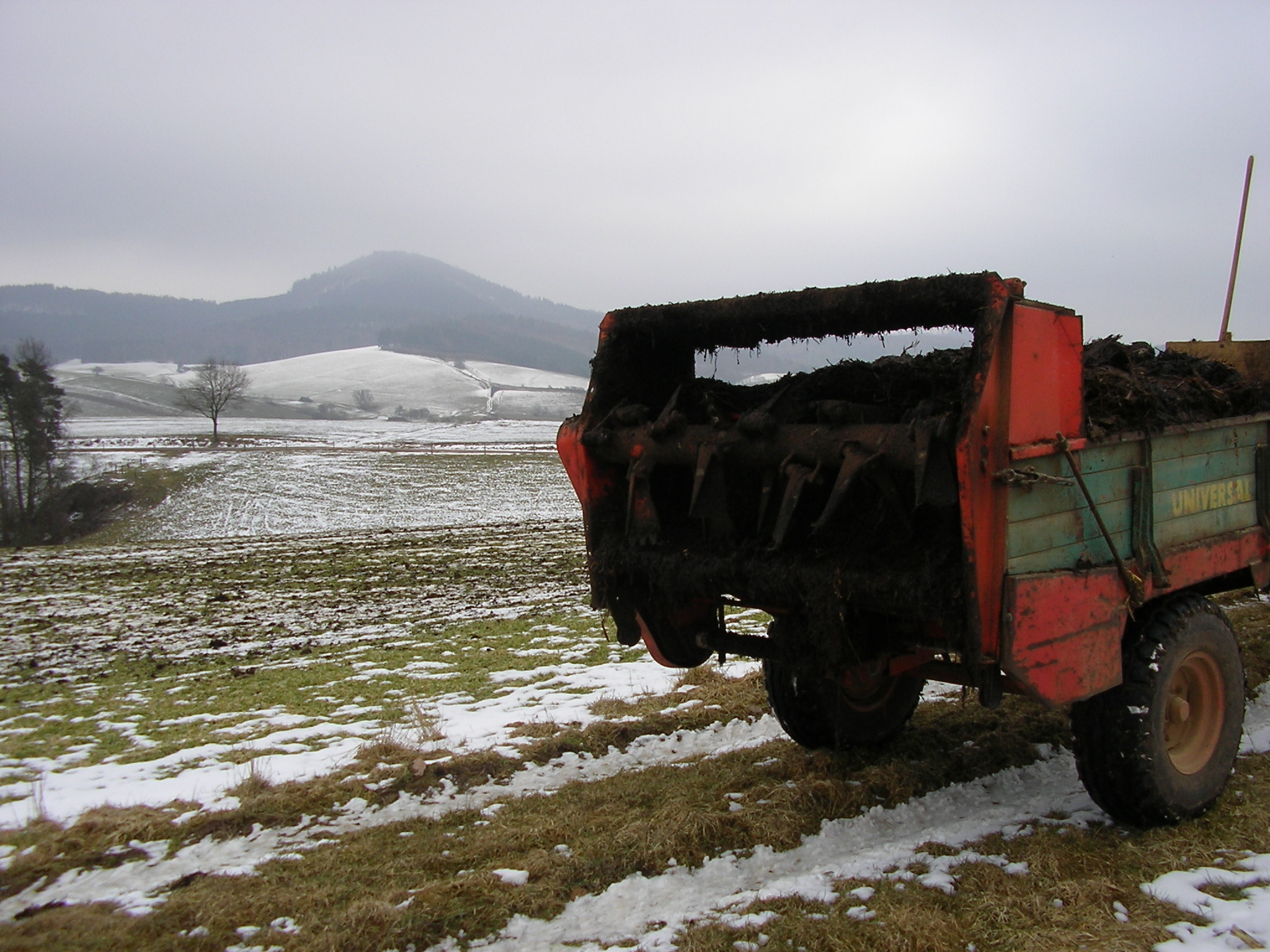 Auf einem Feld steht ein landwirtschaftliches Gerät. Darauf ist Mist gelagert, der auf dem Feld abgelegt wird. Es liegt etwas Schnee und der Himmel ist bewölkt.