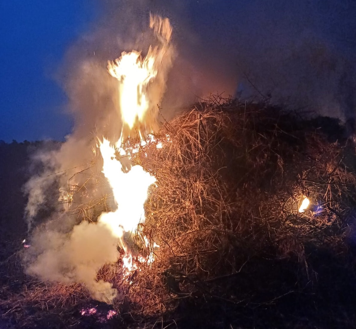 Ein Feuer brennt. Es ist dunkel und Abend.