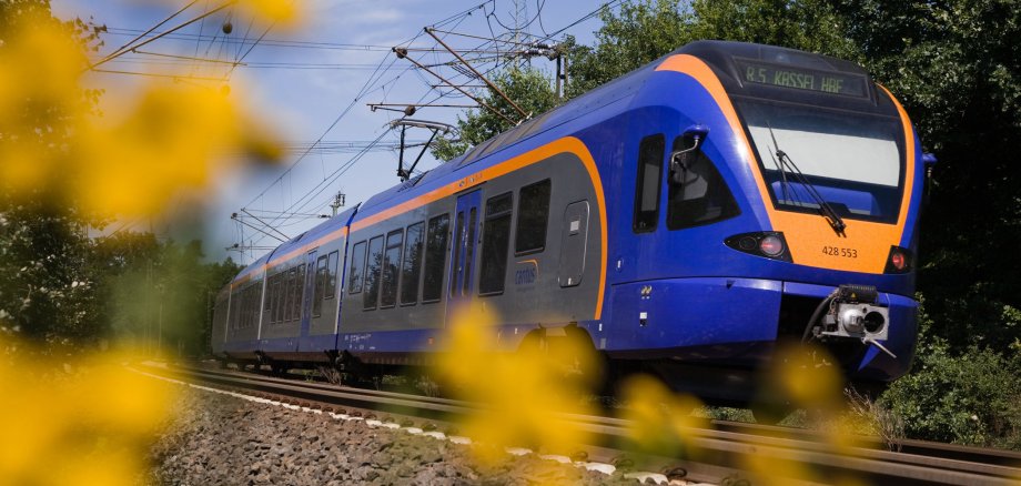 Cantus fährt auf einem Gleis. Im Vordergrund sind unscharfe gelbe Pflanzen zu sehen.