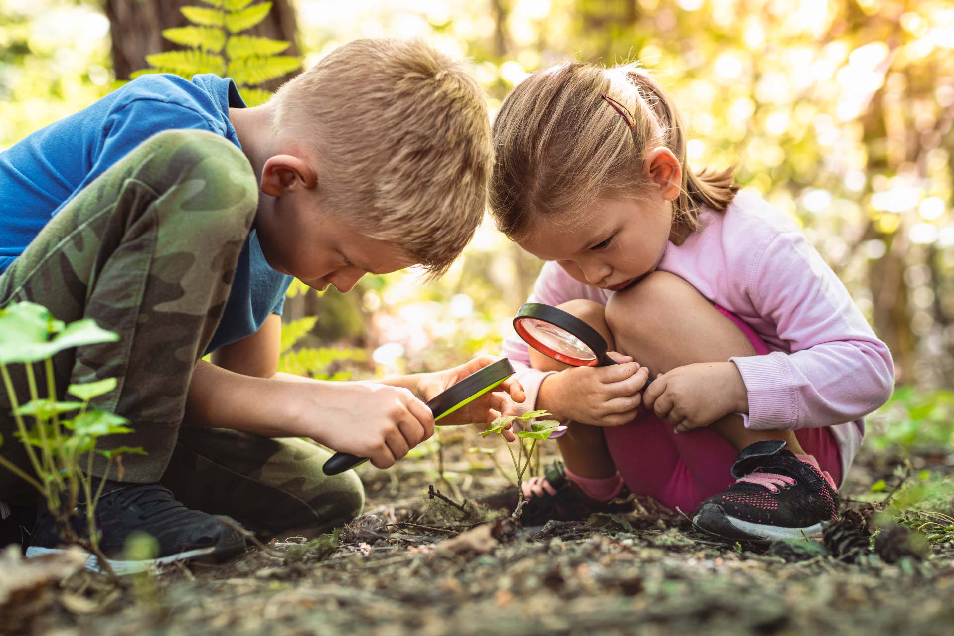 Kids exploring in forest with a magnifying glass Kids exploring in forest with a magnifying glass