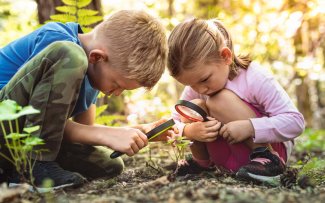 Kids exploring in forest with a magnifying glass