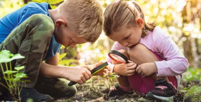 Kids exploring in forest with a magnifying glass