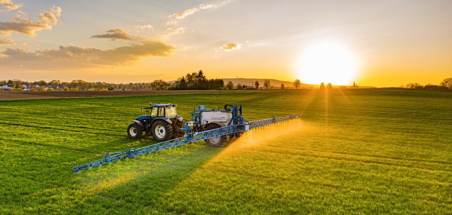 Panoramafoto eines Feldes mit jungen Pflanzen, auf dem ein blauer Traktor mit anhängender Spritze fährt und spritzt. Im Hintergrund ein Ackerfeld, Andeutungen einer Ortschaft sowie ein blauer Himmel mit wenigen Wolken, der vom Sonnenuntergang geld-orange leuchtet.