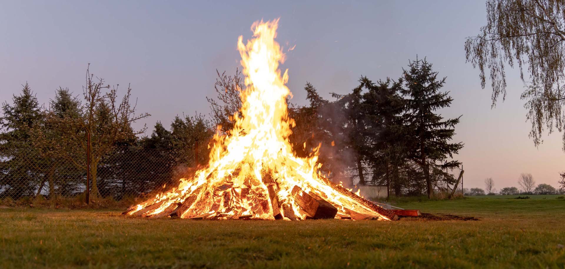 Auf einem Feld steht ein brennendes Osterfeuer. Es dämmert gerade. Im Hintergrund sieht man mehrere Bäume.