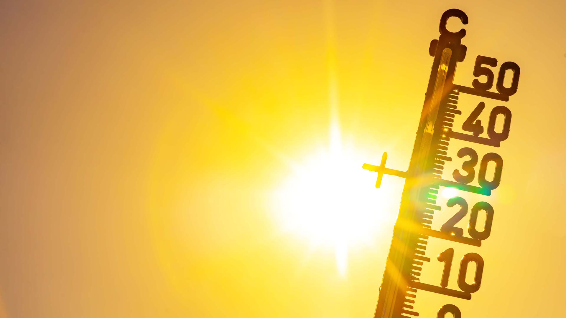 Hot weather - Heat wave / Summer heat background - Thermometer y Ein Thermometer zeigt Temperaturen über 30 Grad Celsius an, im Hintergrund scheint grell die Sonne durch einen orange-gelben Himmel.