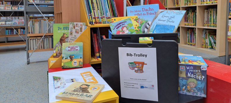 Im Medienzentrum des Landkreises steht ein Trolley, der mit verschiedenen Büchern gefüllt ist. Im Hintergrund sieht man Bücherregale. 