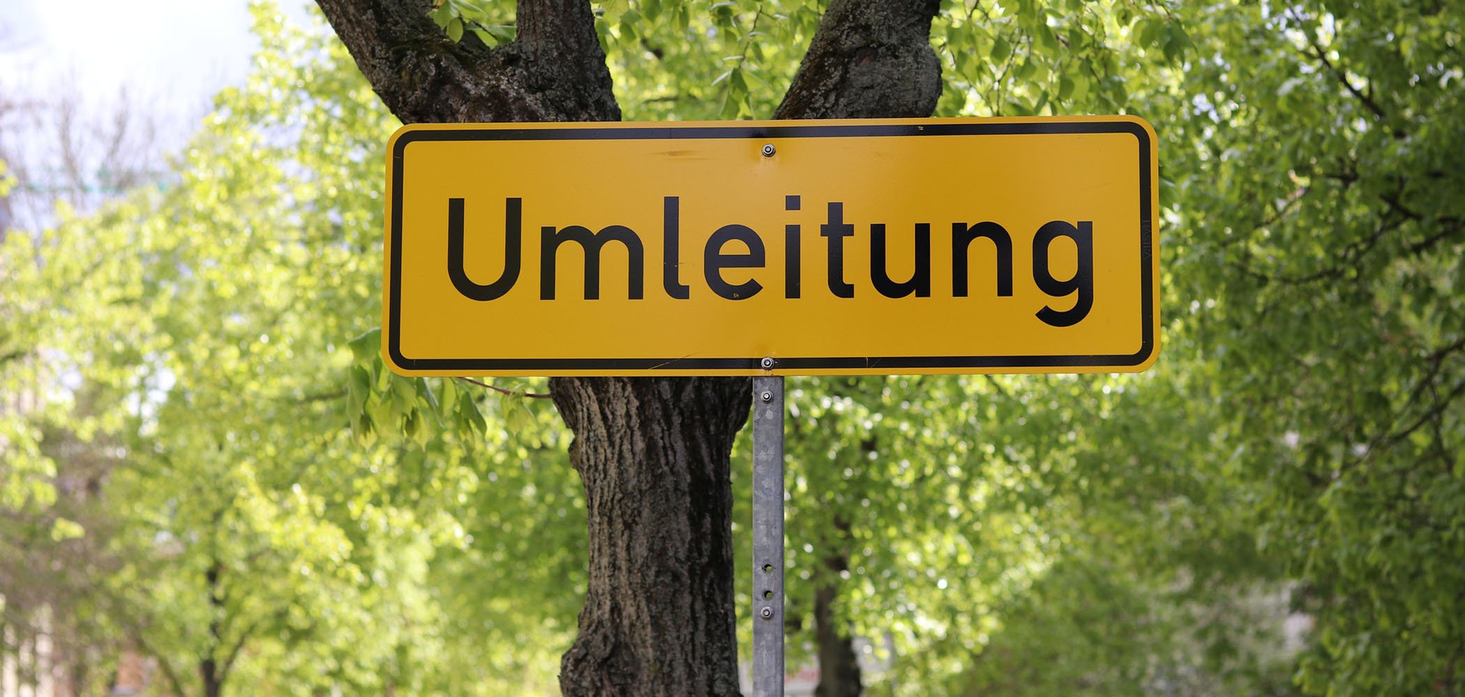 Ein gelbes Schild mit der schwarzen Aufschrift "Umleitung" steht vor einem Baum. Im Hintergrund sind viele grüne Blätter von weiteren Bäumen sichtbar.