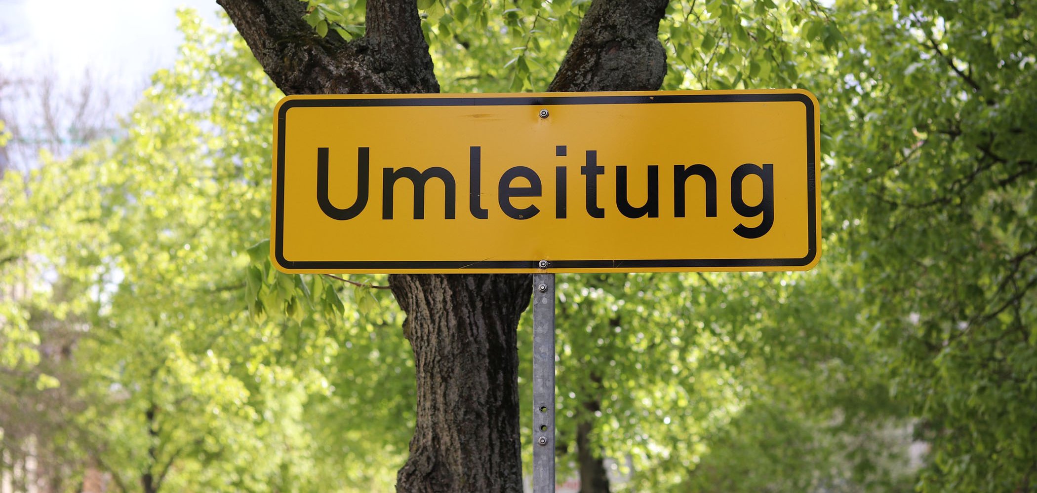 Ein gelbes Schild mit der schwarzen Aufschrift "Umleitung" steht vor einem Baum. Im Hintergrund sind viele grüne Blätter von weiteren Bäumen sichtbar.