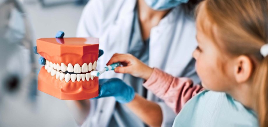 Zahnarzt zeigt einem Kind ein Modell von Zähnen