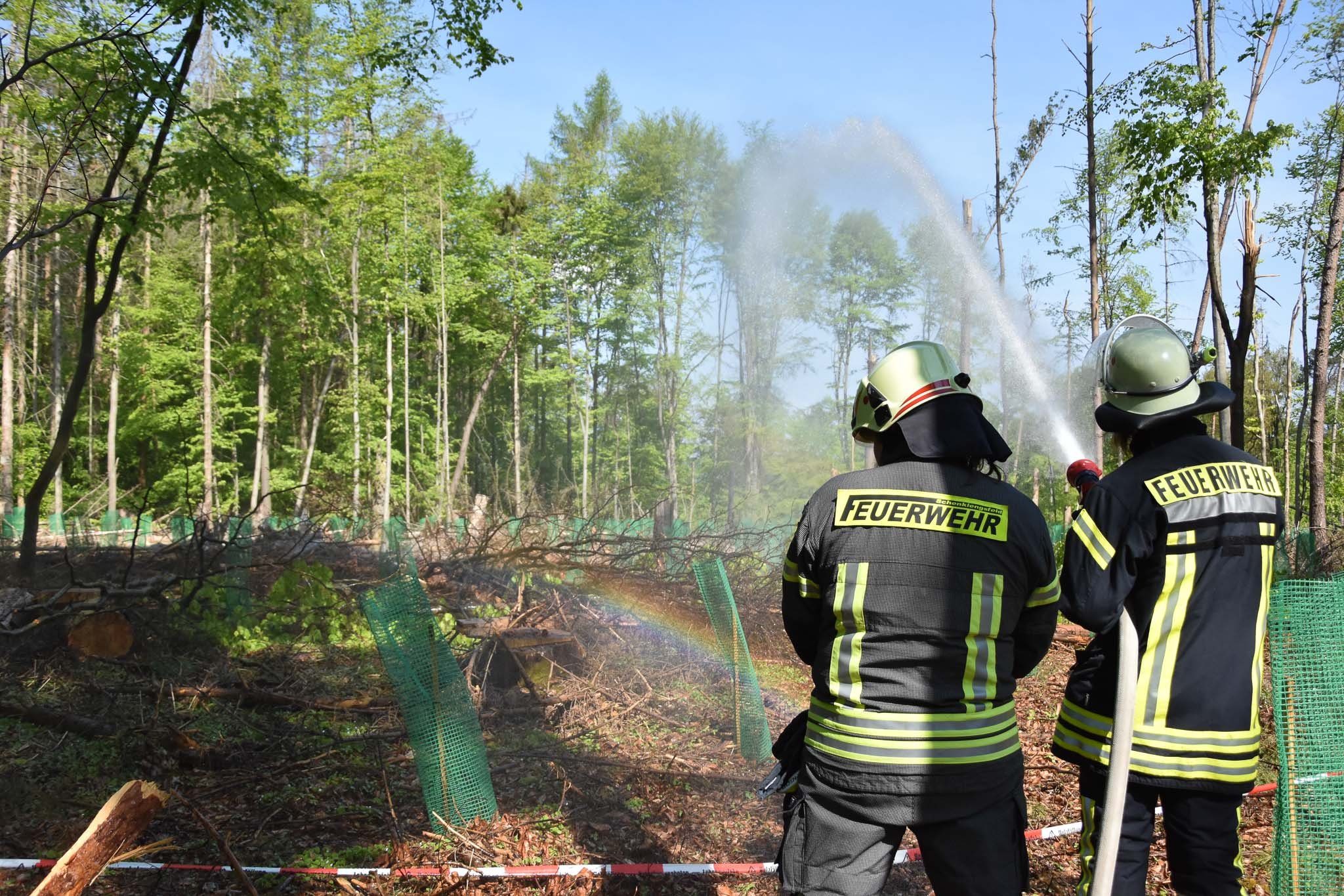 Rückansicht zweier Feuerwehrleute die gemeinsam mit einem Wasserstrahlrohr einen Wald bewässern während einer Waldbrandübung. Im Hintergrund ist Mischmald zu sehen.