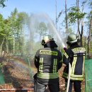 Rückansicht zweier Feuerwehrleute die gemeinsam mit einem Wasserstrahlrohr einen Wald bewässern während einer Waldbrandübung. Im Hintergrund ist Mischmald zu sehen.