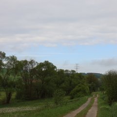 In der Ferne steigt Rauch aus dem Wald heraus. Mit einer Nebelmaschine wird der Waldbrand simuliert.