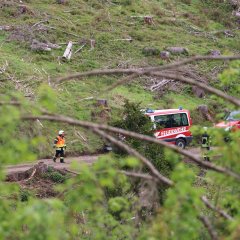 Die Einsatzkräfte der Feuerwehr rücken in einem Wald an.