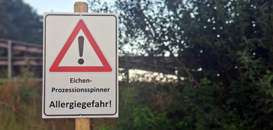 In der Natur steht ein Schild mit der Aufschrift "Eichenprozessionsspinner - Allergiegefahr". Dazu ist ein Warnsymbol abgebildet.