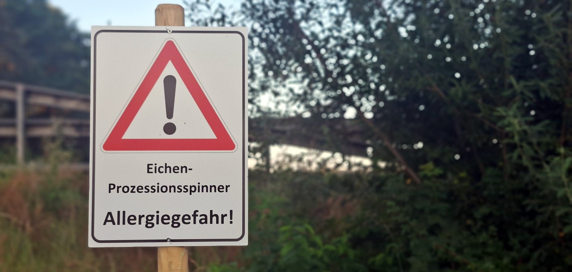 In der Natur steht ein Schild mit der Aufschrift "Eichenprozessionsspinner - Allergiegefahr". Dazu ist ein Warnsymbol abgebildet.