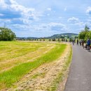 Viele Radfahrer sieht man von hinten auf einem Weg fahren. Auf der linken Seite sieht man Feld.