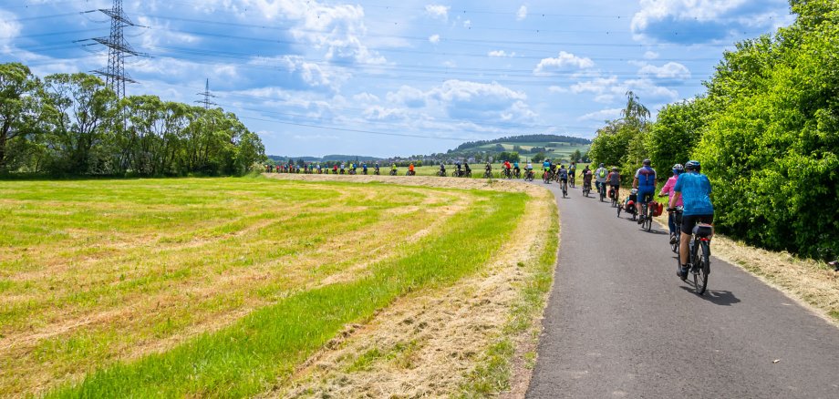 Viele Radfahrer sieht man von hinten auf einem Weg fahren. Auf der linken Seite sieht man Feld.